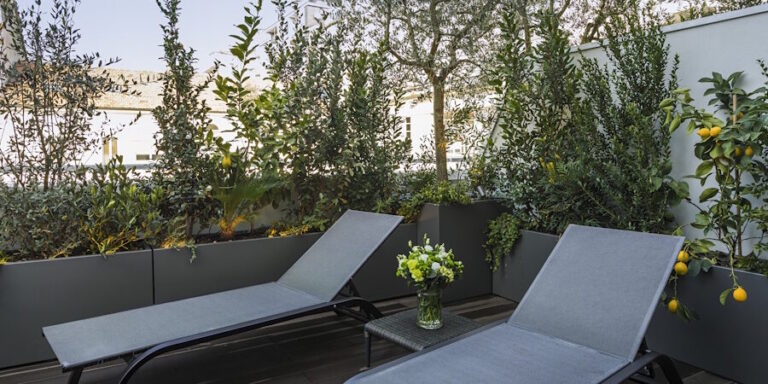 suite del magna pars