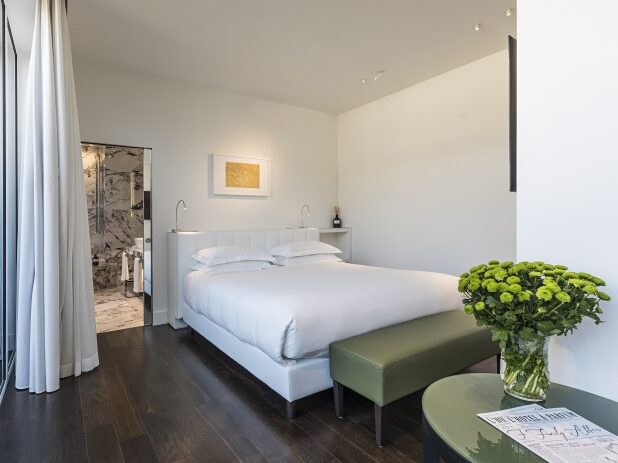 suite del magna pars