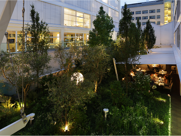 outdoor garden