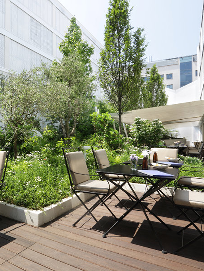 terrace of the magna pars